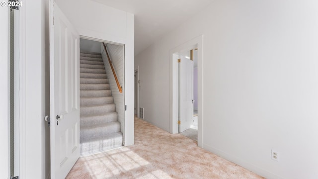stairway with carpet floors