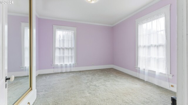 unfurnished room featuring carpet flooring, crown molding, a wealth of natural light, and baseboards