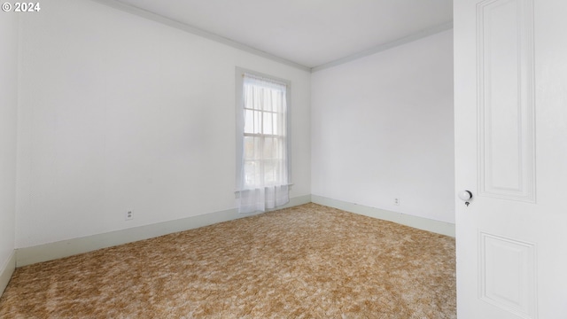 unfurnished room featuring ornamental molding and carpet
