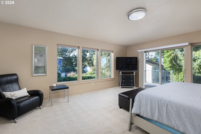 carpeted bedroom featuring access to exterior, multiple windows, and a textured ceiling