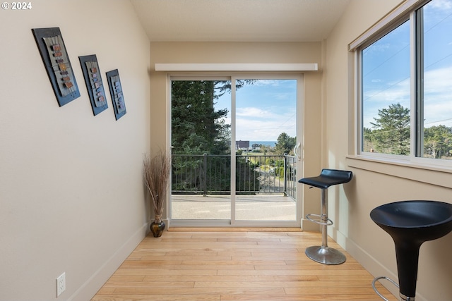 interior space featuring a wealth of natural light and light hardwood / wood-style flooring