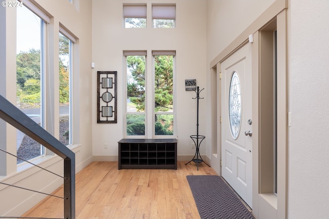 entrance foyer with a high ceiling, a wealth of natural light, and light hardwood / wood-style flooring