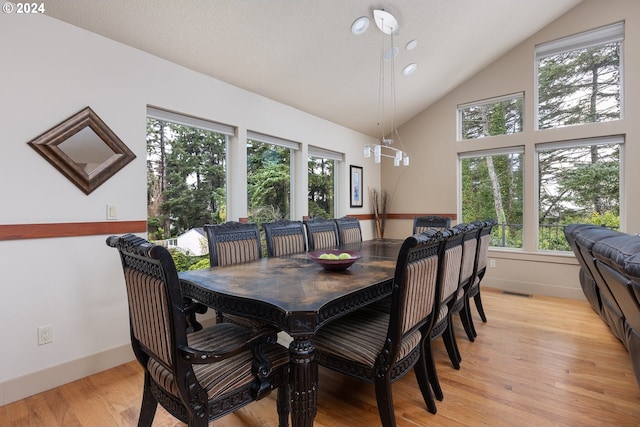 dining room featuring plenty of natural light, lofted ceiling, and light hardwood / wood-style flooring