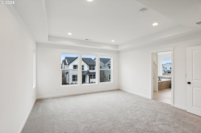 carpeted empty room featuring a raised ceiling and a wealth of natural light