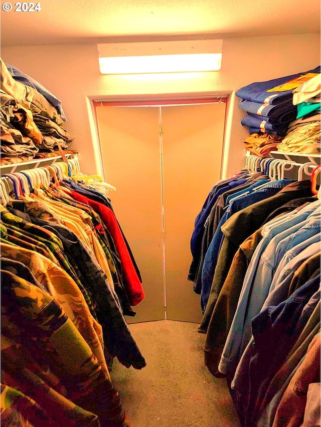 spacious closet featuring carpet flooring