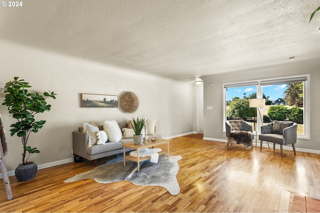 living room featuring a textured ceiling and light hardwood / wood-style floors