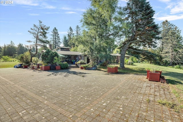 view of community featuring a lawn and a patio area