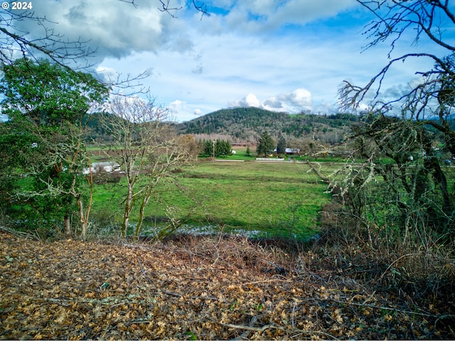 105 SE Lebleu Ln, Winston OR, 97496 land for sale