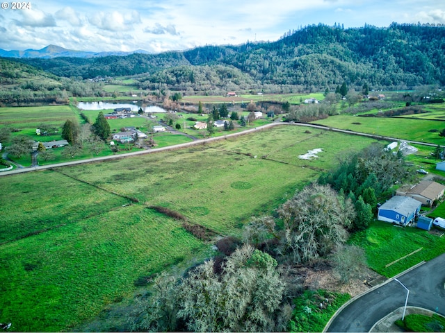 105 SE Lebleu Ln, Winston, OR 97496