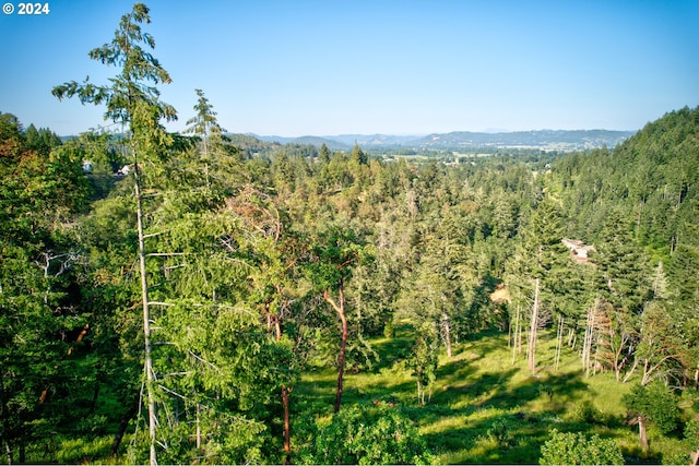 105 SE Lebleu Ln, Winston, OR 97496