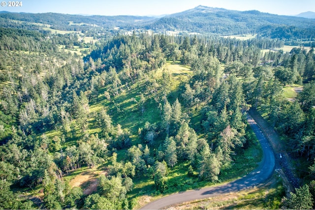 105 SE Lebleu Ln, Winston, OR 97496