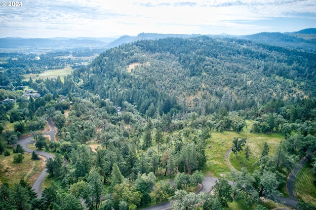 105 SE Lebleu Ln, Winston, OR 97496