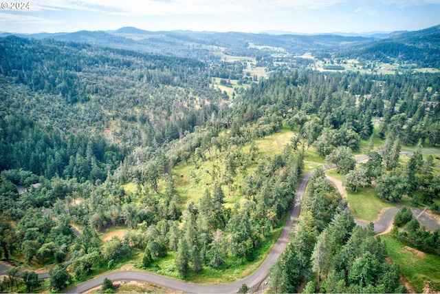 105 SE Lebleu Ln, Winston, OR 97496