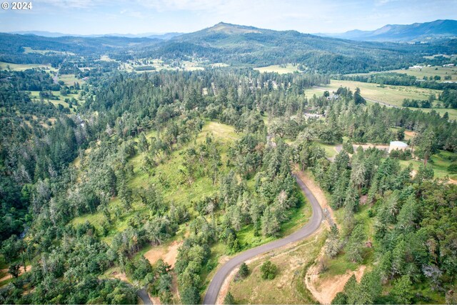 105 SE Lebleu Ln, Winston, OR 97496