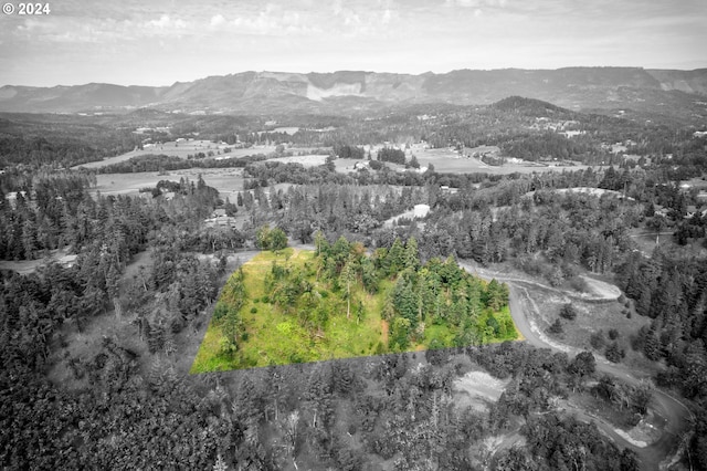 105 SE Lebleu Ln, Winston, OR 97496