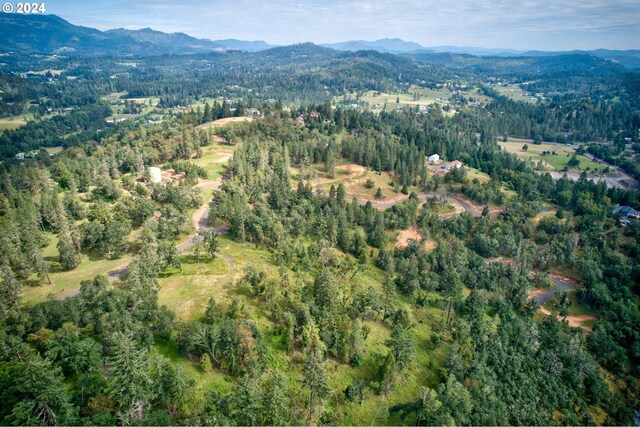105 SE Lebleu Ln, Winston, OR 97496
