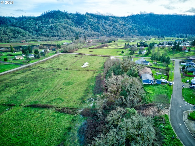 105 SE Lebleu Ln, Winston, OR 97496