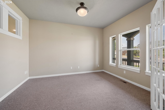 unfurnished room with carpet floors