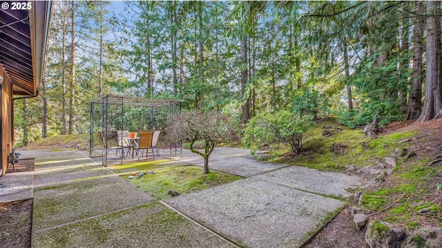 view of yard featuring a patio area and a pergola