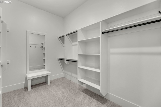 spacious closet featuring light colored carpet