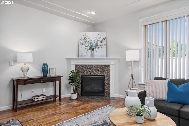 living room featuring wood-type flooring and a premium fireplace