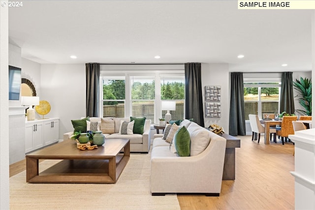 living room featuring plenty of natural light and light hardwood / wood-style floors