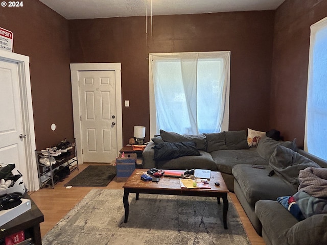 living room with plenty of natural light and wood-type flooring