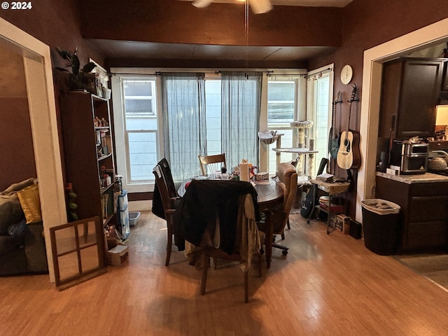 dining space featuring a healthy amount of sunlight and light hardwood / wood-style floors