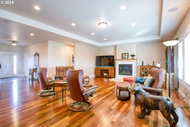 living room featuring light hardwood / wood-style floors and a tray ceiling