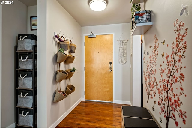 entryway featuring dark wood-type flooring