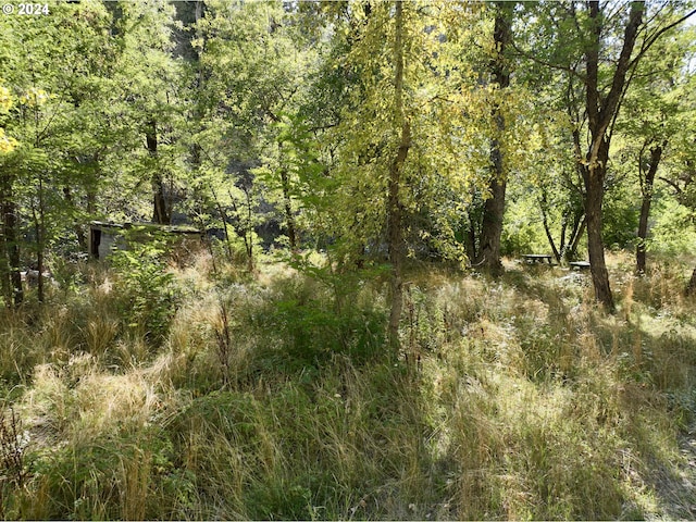 57654 Bingham Rd, Adams, OR 97810