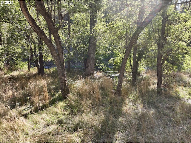 57654 Bingham Rd, Adams, OR 97810