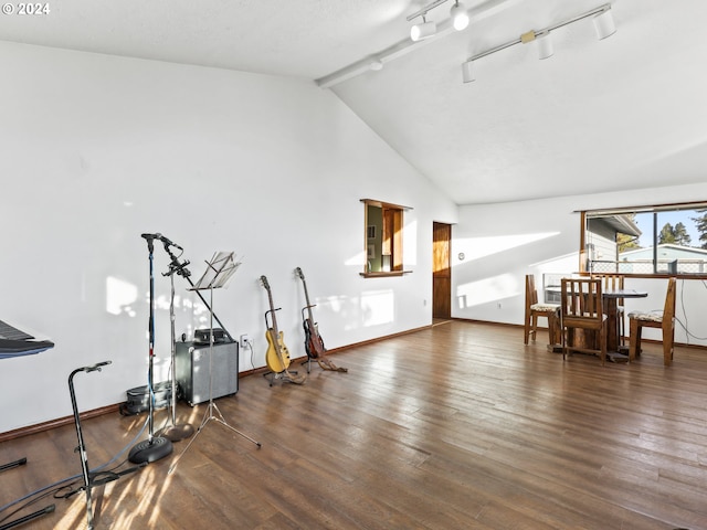 living room with track lighting, high vaulted ceiling, and dark hardwood / wood-style flooring