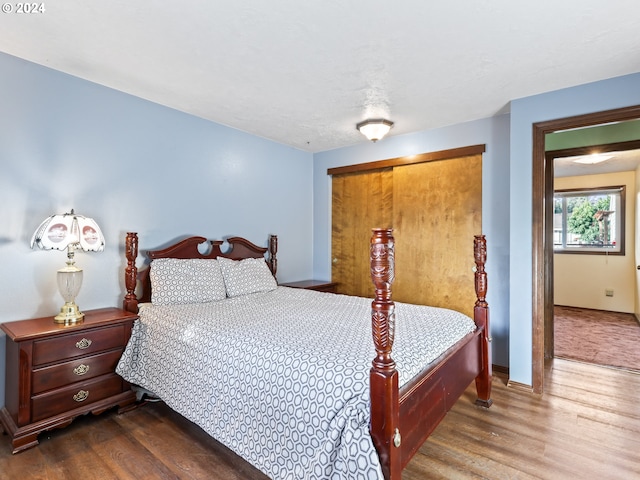 bedroom with a closet and wood-type flooring