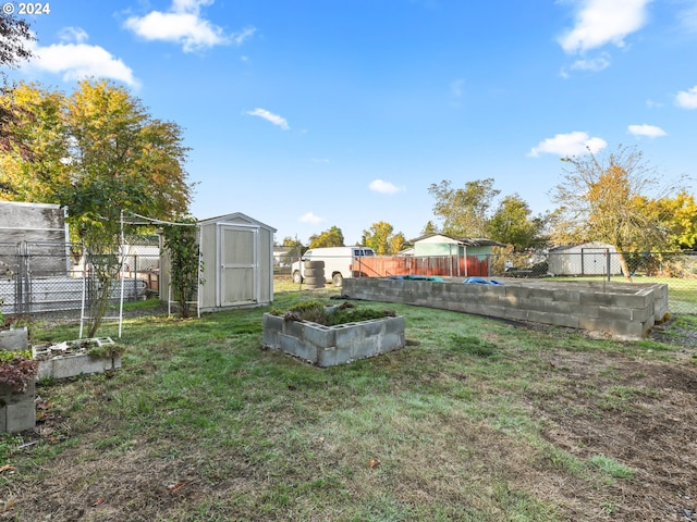 view of yard featuring a storage unit