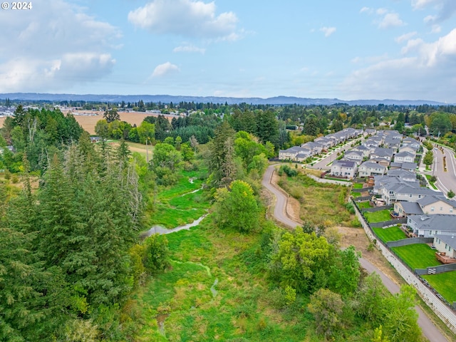 drone / aerial view