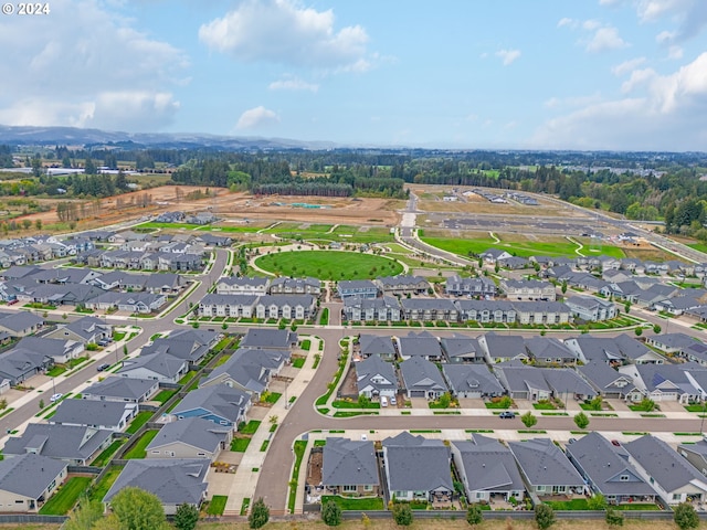 drone / aerial view