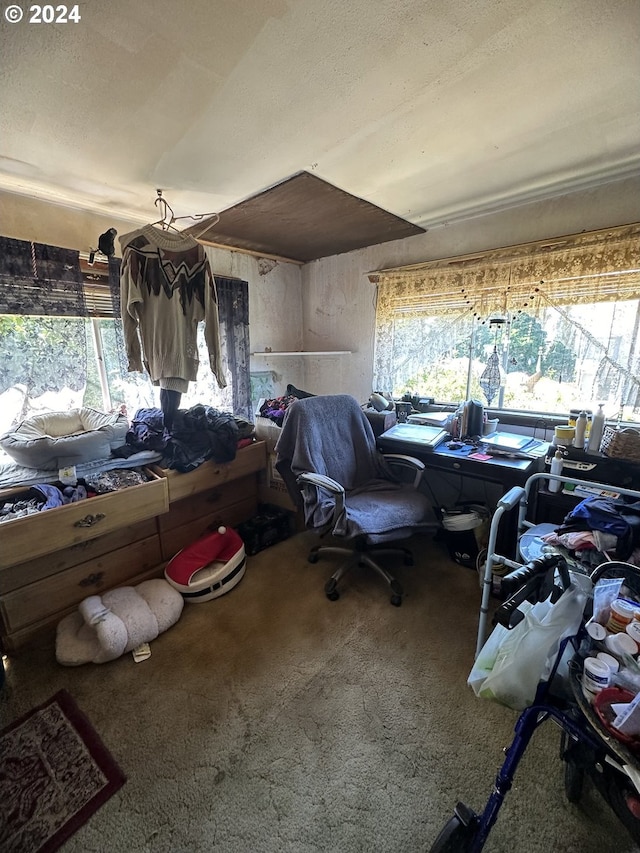 interior space with carpet flooring and multiple windows