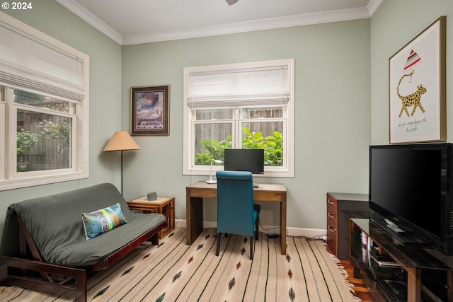 office with hardwood / wood-style flooring and crown molding