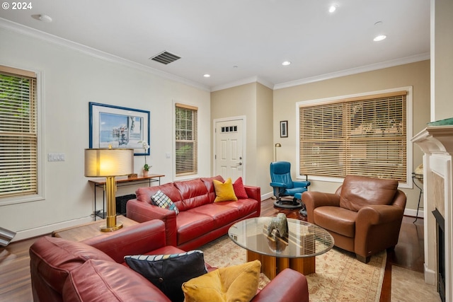 living room featuring a fireplace and crown molding