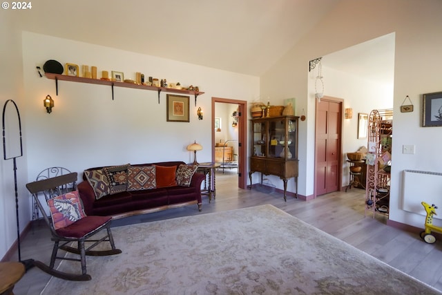 living area featuring high vaulted ceiling and wood-type flooring