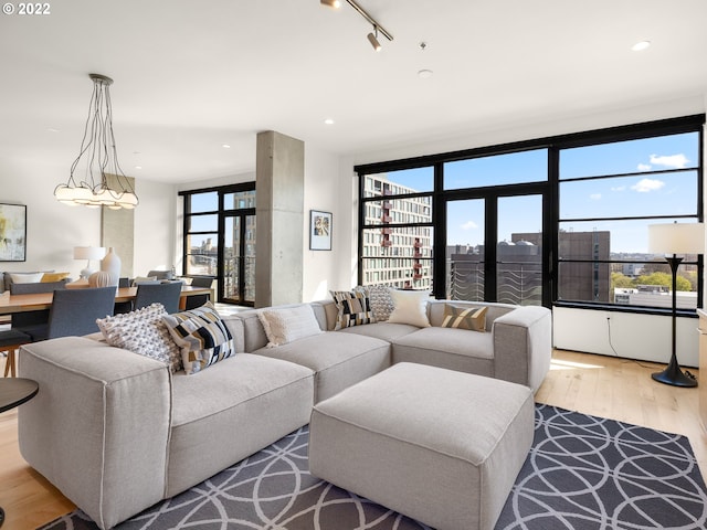 living room featuring plenty of natural light, hardwood / wood-style floors, and track lighting