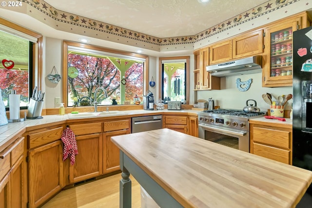 kitchen with wooden counters, sink, light hardwood / wood-style flooring, and stainless steel appliances