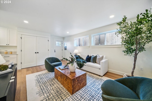 living room featuring light hardwood / wood-style flooring