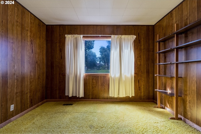 empty room with carpet flooring and wooden walls