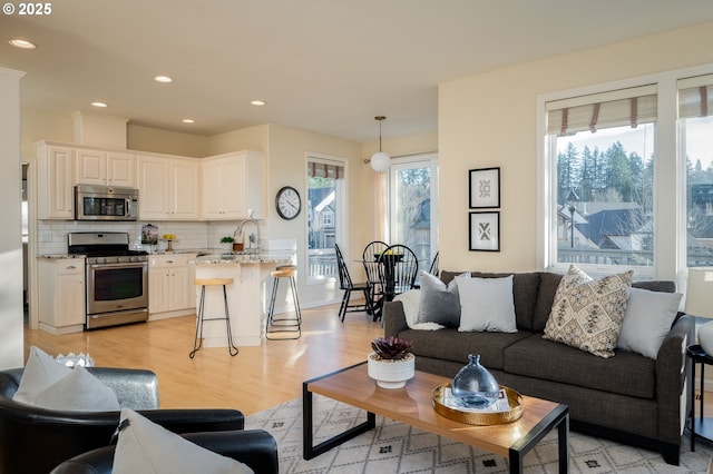 living room with light wood-type flooring and plenty of natural light