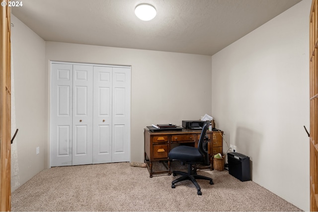 carpeted office with a textured ceiling