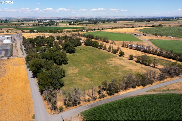 birds eye view of property with a rural view