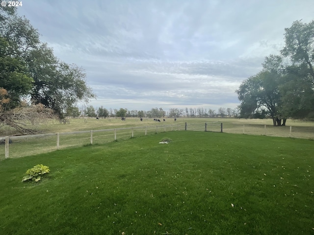 view of yard featuring a rural view