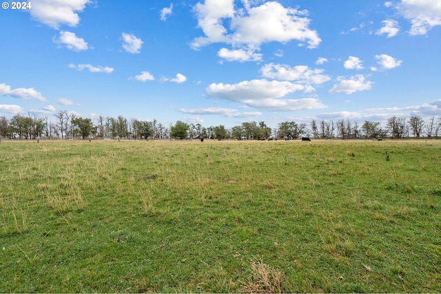 view of landscape with a rural view